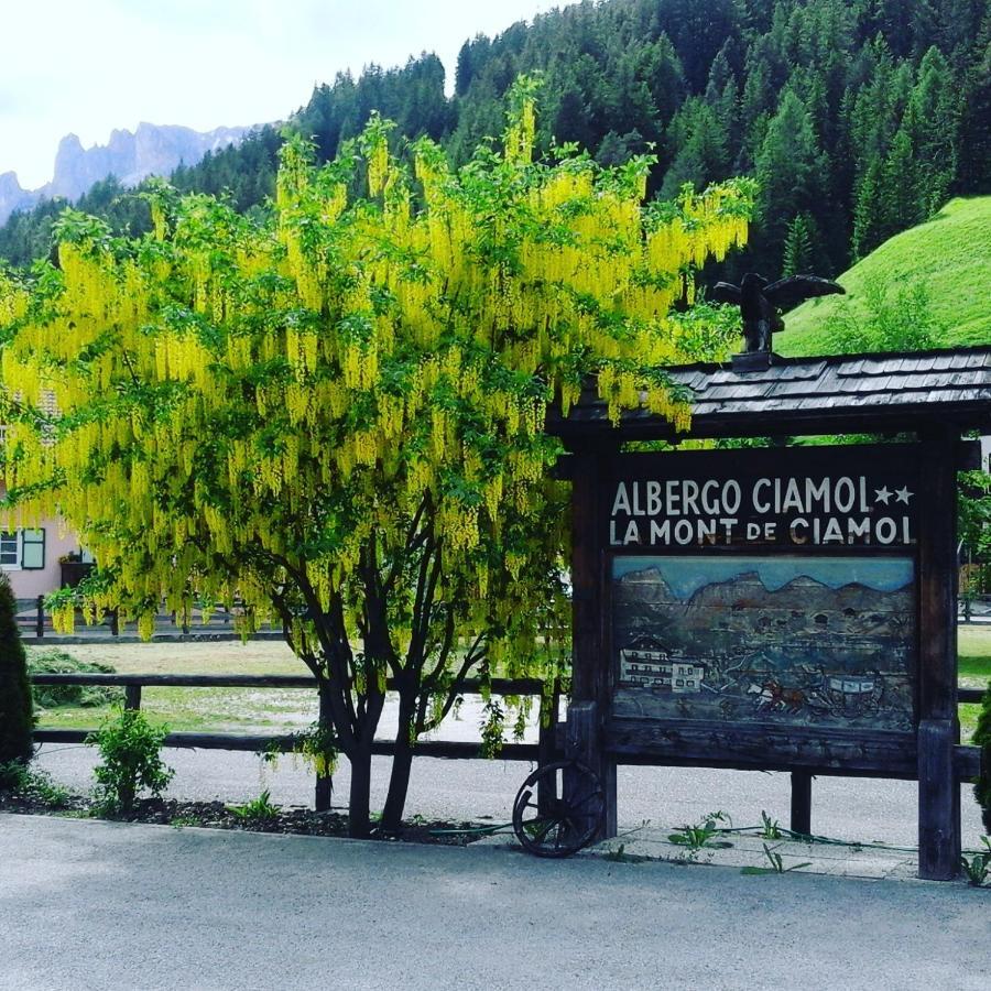Hotel Ciamol Campitello di Fassa Buitenkant foto