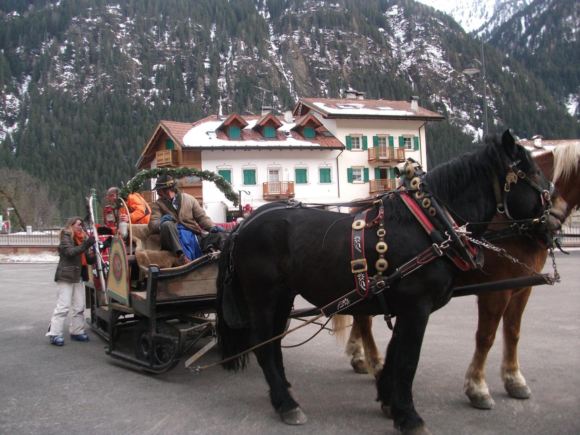 Hotel Ciamol Campitello di Fassa Buitenkant foto
